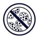 icon-safe-web-2-130x130.jpg icon-safe-web-2-130x130.jpg